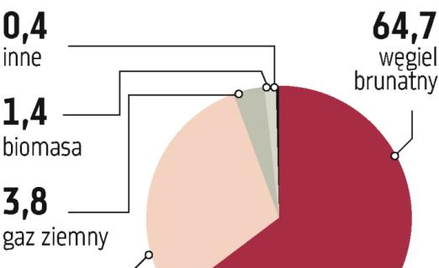 PGE dołączy do grona firm wykorzystujących mocno biomasę?