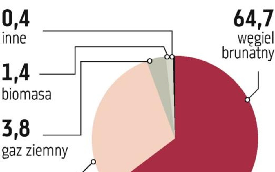 PGE dołączy do grona firm wykorzystujących mocno biomasę?