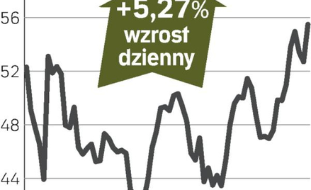 Rośnie zaufanie inwestorów