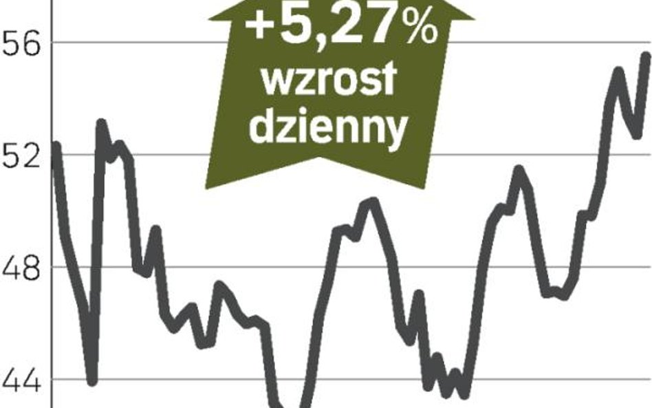 Rośnie zaufanie inwestorów