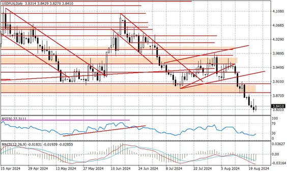Wykres dzienny USDPLN