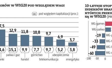 WIG20 od lat zdominowany był przez spółki z branż ze „starej” gospodarki, mało nowoczesne i niewzros