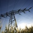 Koncerny chcą uwolnienia cen energii