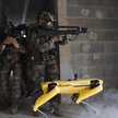 Czworonożny roboty od Boston Dynamics przeszedł pozytywnie test polu bitwy. Czy maszyny staną się ko
