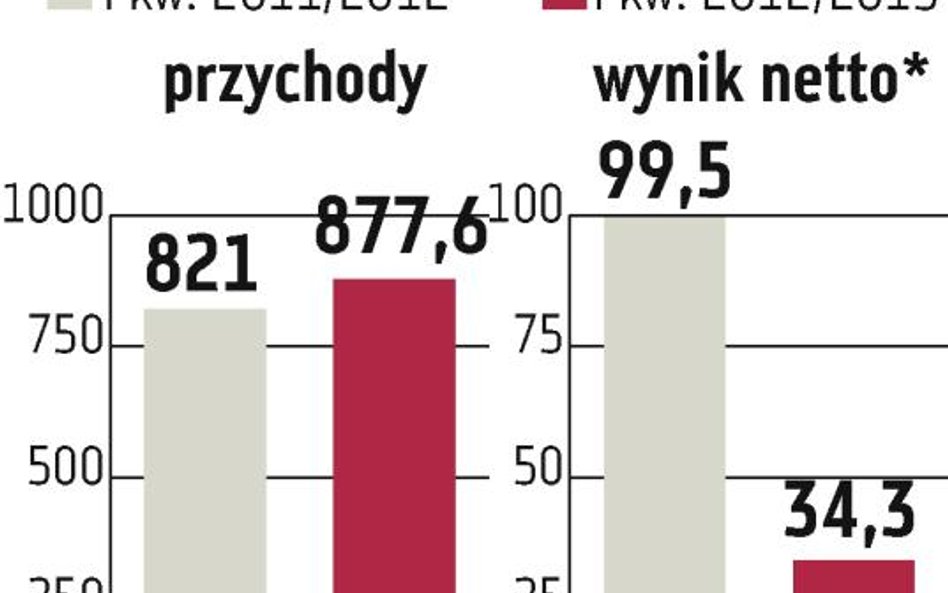 Inwestycje Puław pochłoną 360 mln zł