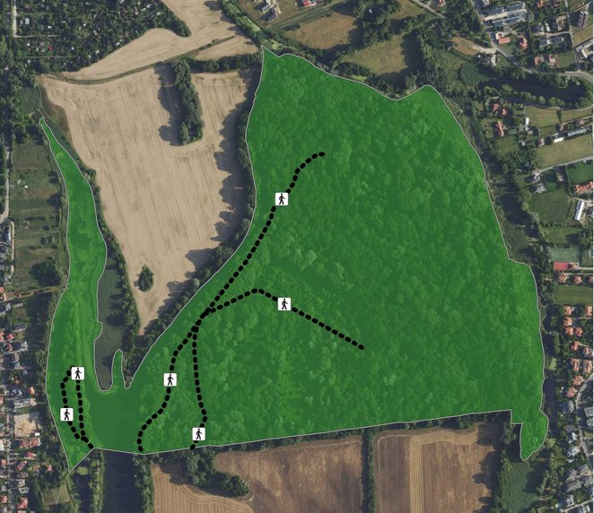 Szalki piesze w rezerwacie Morysin