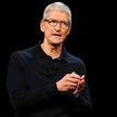 Tim Cook, prezes Apple