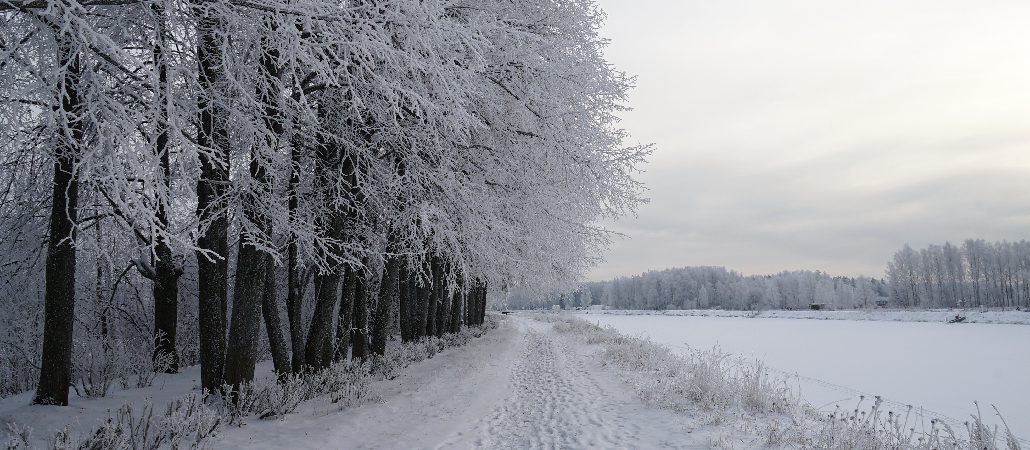 Nadchodzi zmiana pogody. Po cieplejszych dniach znów pojawi się mróz