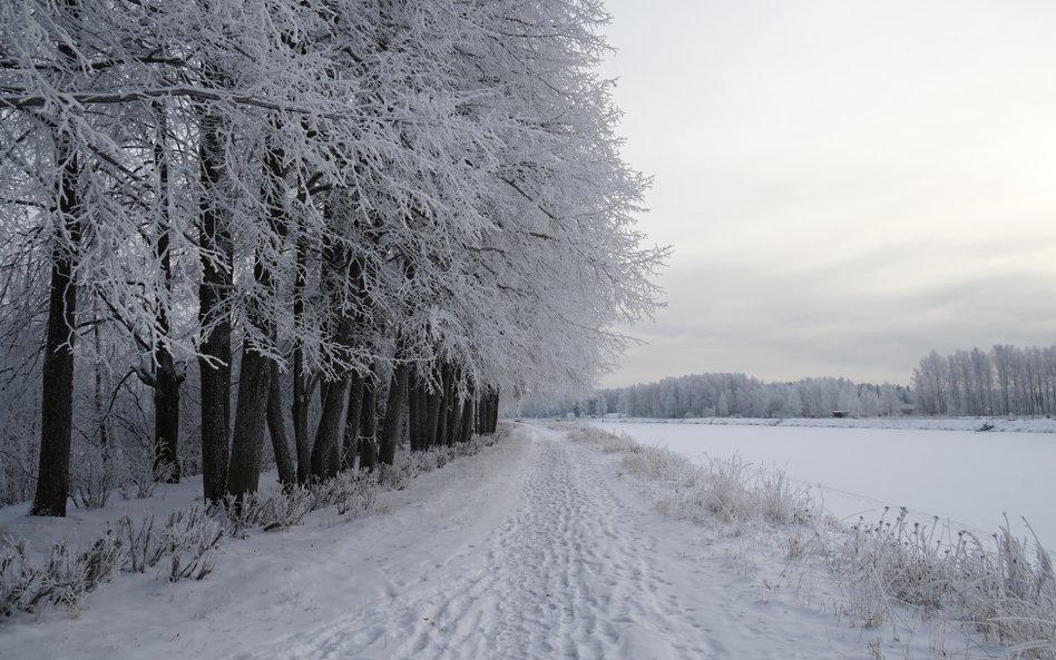Po chwilowym ociepleniu czeka nas ponowny spadek temperatury