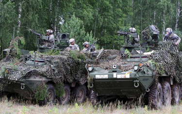 Oficerowie Gwardii Narodowej podczas ćwiczeń na Litwie w ramach operacji Saber Strike 2014. Amerykań