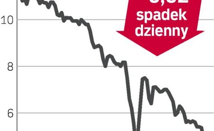 Kurs akcji Cersanitu najpierw mocno rósł, a potem spadał