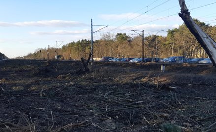 Decyzja o środowiskowych uwarunkowaniach potwierdza, że przebudowa linii kolejowej nr 7 na odcinku W