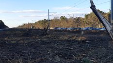 Decyzja o środowiskowych uwarunkowaniach potwierdza, że przebudowa linii kolejowej nr 7 na odcinku W