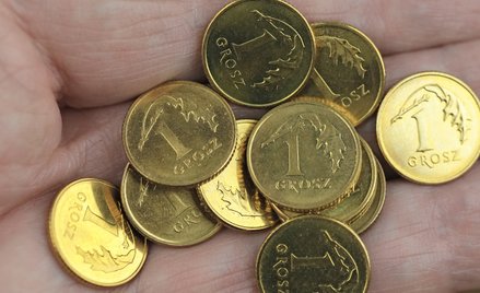 Kilka groszy miesięcznie – tyle potrafi dziś wynosić emerytura niektórych osób.