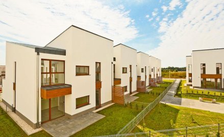 Projekt Chilli city spółki Ronson