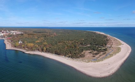 Cypel Helski na razie nie został pozbawiony wszystkich drzew...