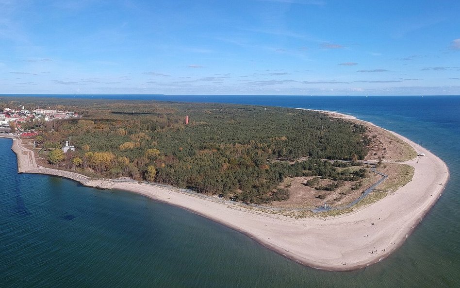 Cypel Helski na razie nie został pozbawiony wszystkich drzew...
