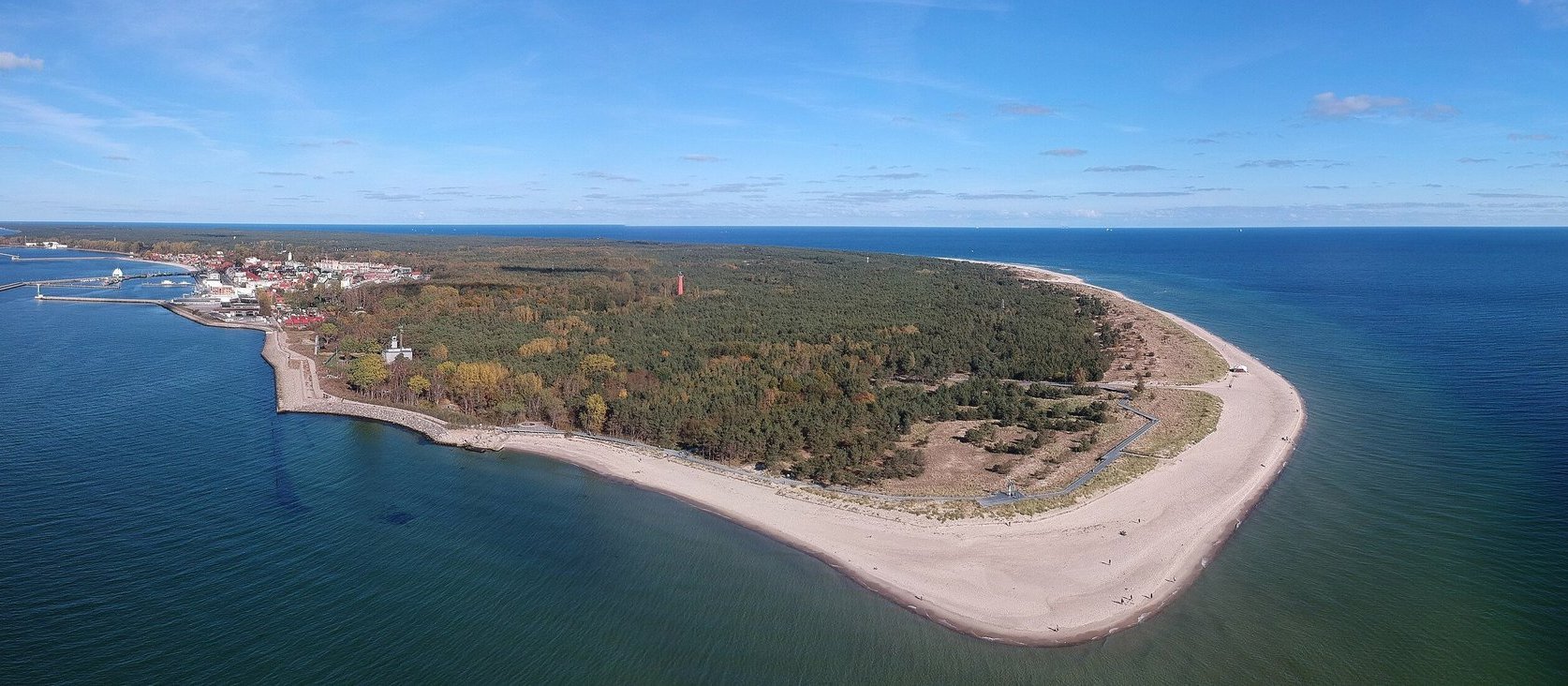 Wstydliwa współczesna wycinka lasów