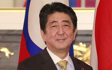 Japonia próbuje uniknąć politycznego kryzysu