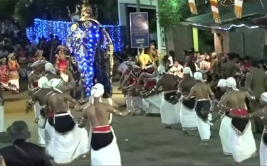 Słonie staranowały uczestników buddyjskiej procesji