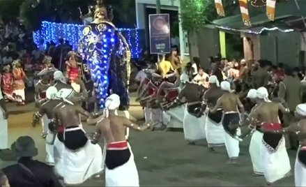 Słonie staranowały uczestników buddyjskiej procesji