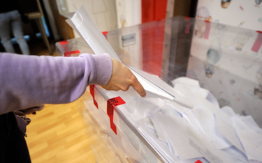 Wybory do Parlamentu Europejskiego: Polacy już zaczęli oddawać głosy