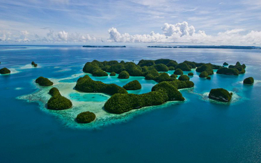 Wyspy zakazują stosowania kremów przeciwsłonecznych by ratować rafy koralowe