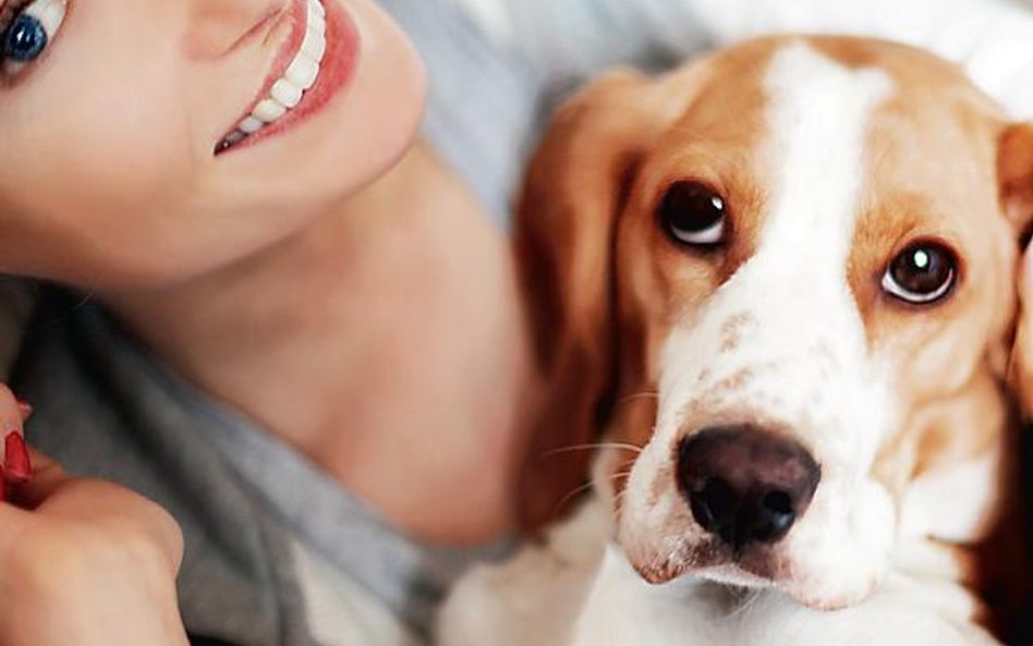 Wielu Polaków dba o zwierzęta tak jak o członków rodziny