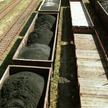 Rekordowe zyski Grupy PSW Holding