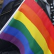 Dąbrowska: Fobie z koszmarów politycznych