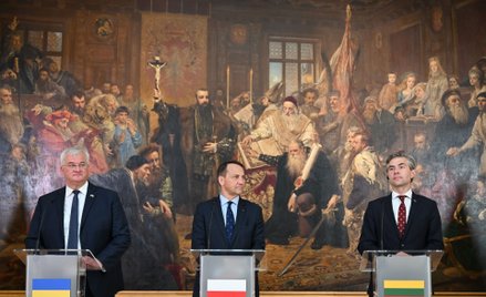 Ministrowie spraw zagranicznych Ukrainy - Andrij Sybiha (z lewej), Polski - Radosław Sikorski i  Lit