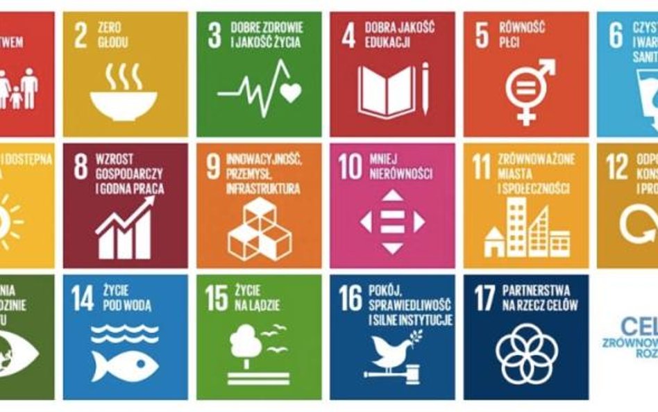 Co cele zrównoważonego rozwoju (SDGs) oznaczają dla inwestorów?