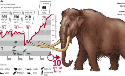 Ludzie gorsi od kataklizmu