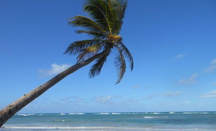 Kontrakt z biurem podróży warto uważnie przeczytać, i to przed podpisaniem.