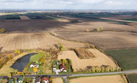 Na zdjęciu działka w Zabłotni, przez którą przebiegać ma linia kolei szybkich prędkości łącząca Wars