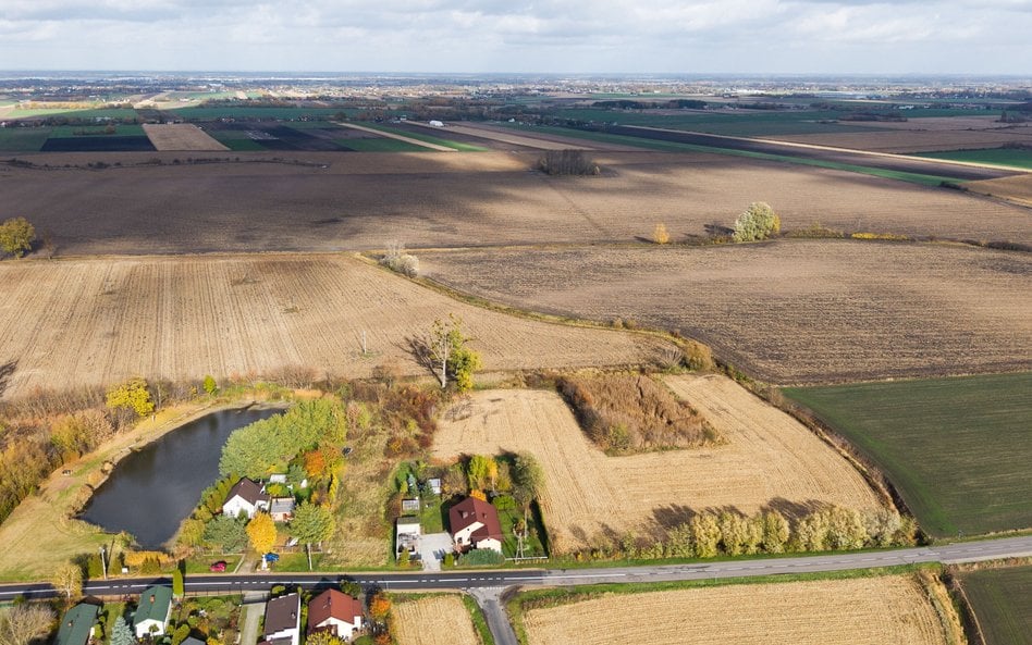 Na zdjęciu działka w Zabłotni, przez którą przebiegać ma linia kolei szybkich prędkości łącząca Wars