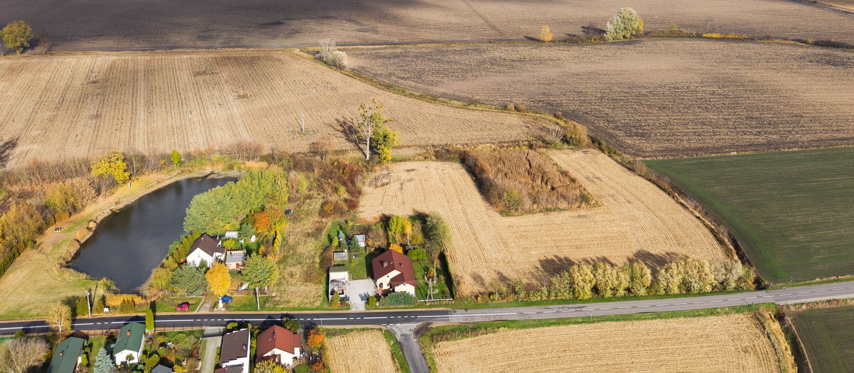Sondaż: Kogo najbardziej obciąża sprawa sprzedaży działki pod CPK?