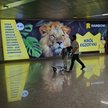 Pasażerowie odbierający bagaże po przylocie na Lotnisko Chopina w Warszawie mogą zobaczyć reklamy bi