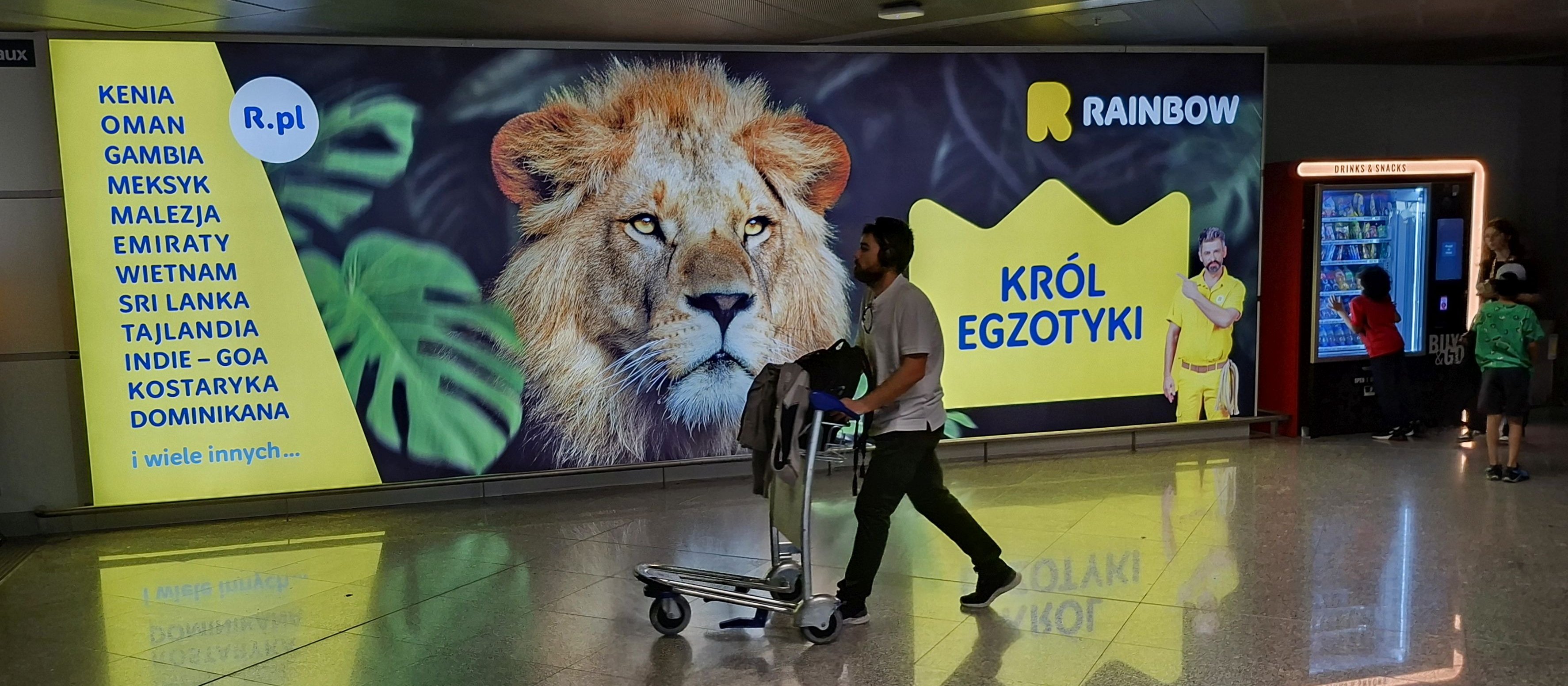 Rainbow urósł w pół roku prawie 10 procent. Czerwiec miał wyraźnie lepszy niż rok temu