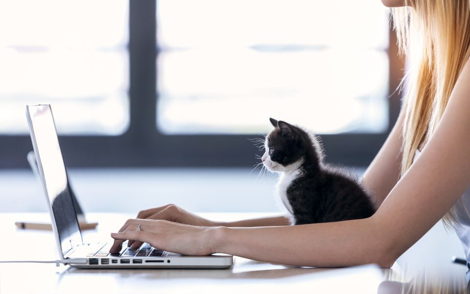 Najlepsze programy do pracy zdalnej na czas pandemii