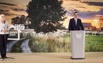 Dokładne sondaże ułatwiają PiS walkę o sejmiki