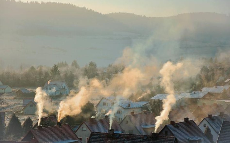 Sondaż: Kto chce uciec przed smogiem