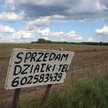 Kupno ziemi: Czego unikać na rynku gruntów