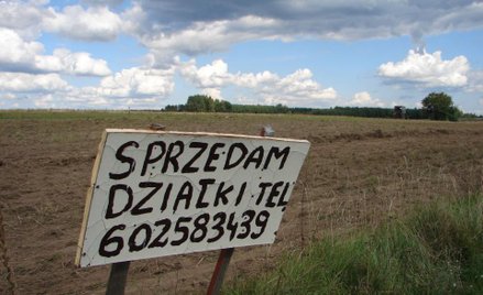 Kupno ziemi: Czego unikać na rynku gruntów