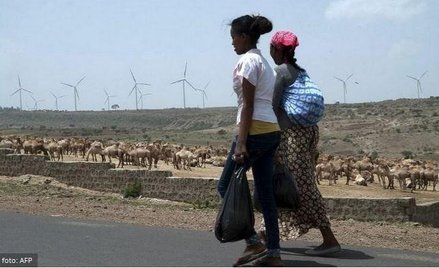 Polskie firmy szukają partnerów w Etiopii