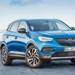 Opel Grandland X ma być jednym z atutów sprzedażowych niemieckiej marki działającej już pod skrzydła