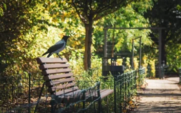 W 2025 r. w Warszawie postawiono 400 ławek warszawskich