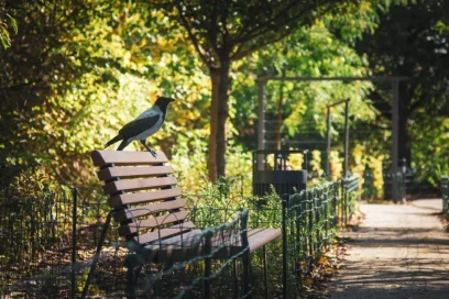 W 2025 r. w Warszawie postawiono 400 ławek warszawskich