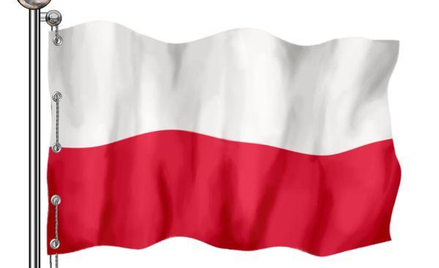 Bez aresztu za lekceważenie narodu