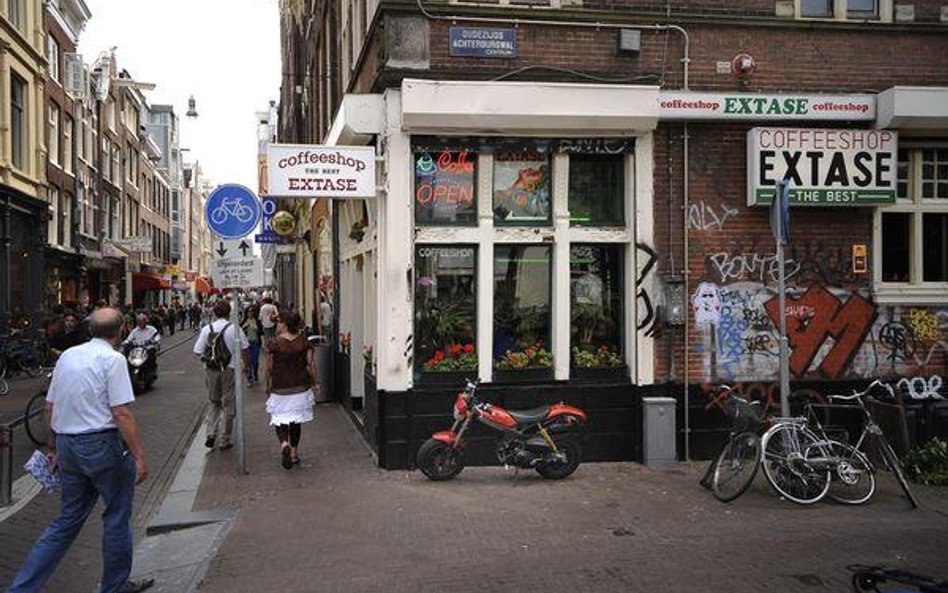 Niderlandzkie coffeeshopy bez marihuany